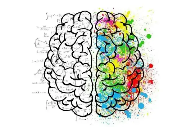 The Power of Your Subconscious Mind: A Journey to Conscious Living left brain right brain