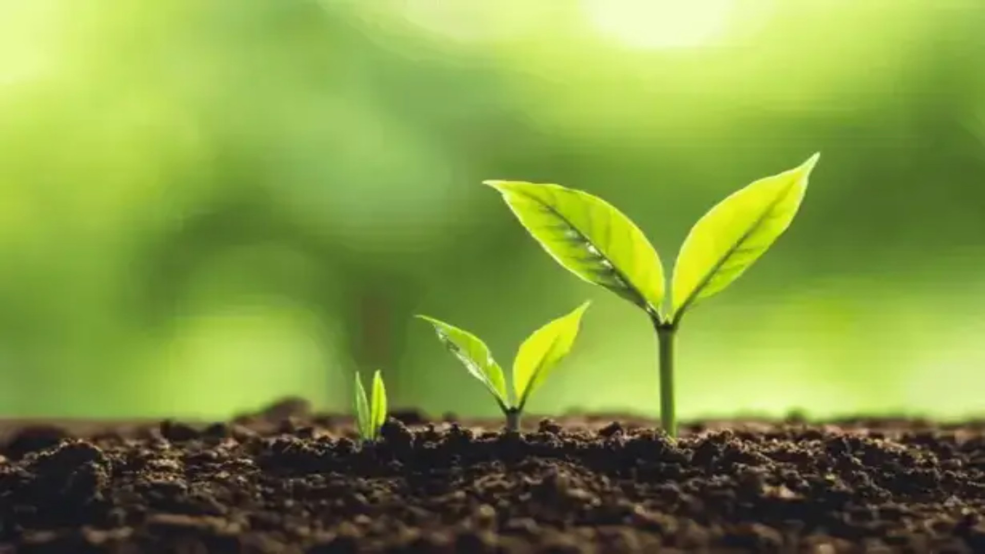 How to Set Achievable Goals That Drive Real Results